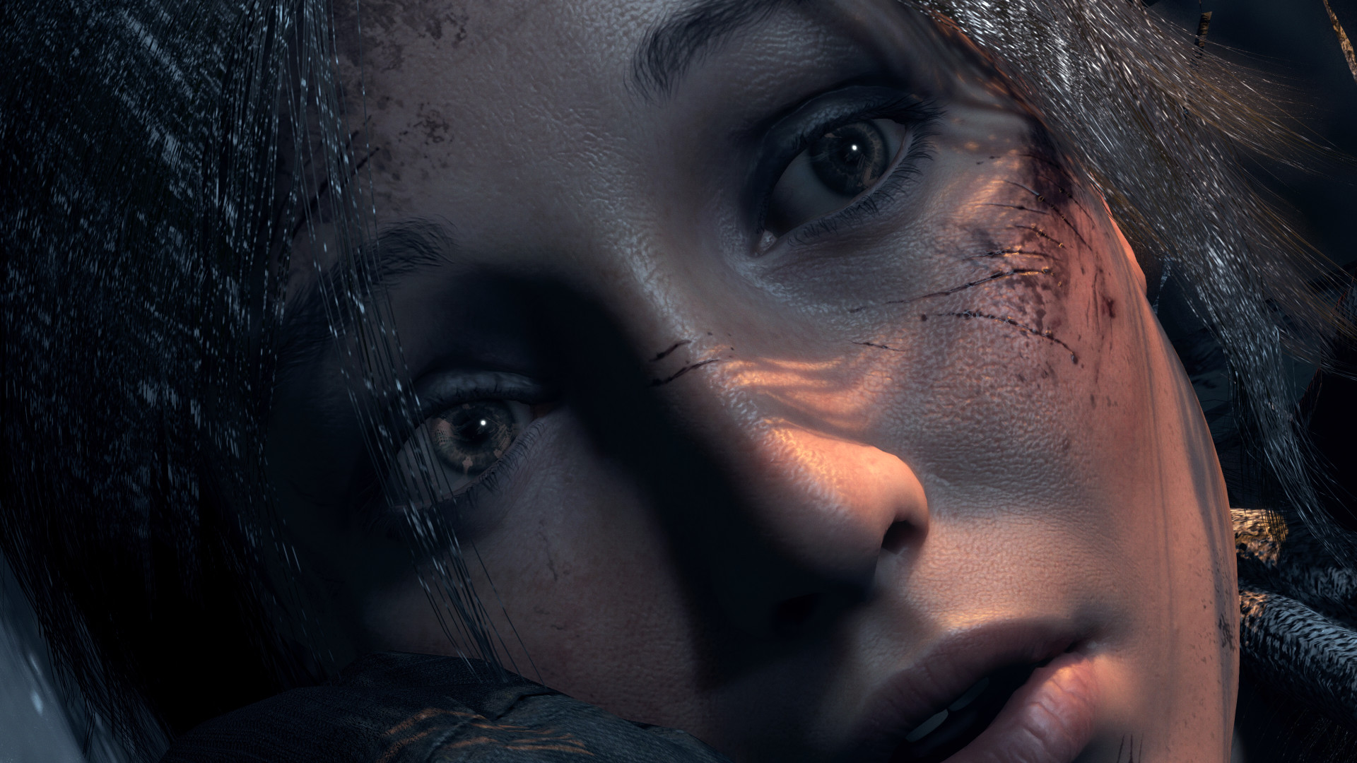 古墓丽影:10崛起20周年纪念版/Rise of the Tomb Raider