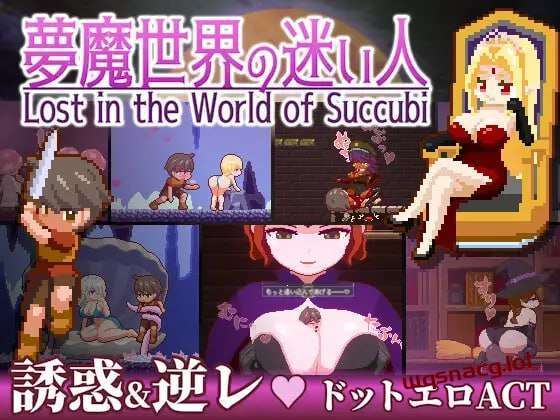 [动作ACT/像素动态] 迷失在梦境中 夢魔世界の迷い人 v1.03PC+安卓 官方中文版游戏中文版下载|无需安装解压即玩_怀旧游戏网