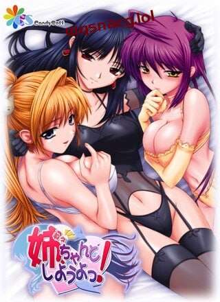 [日式ADV/后宫/PC] 姐姐，拜托你认真一点！姉、ちゃんとしようよっ！AI汉化版+全CG存档 1G游戏中文版下载|无需安装解压即玩_怀旧游戏网