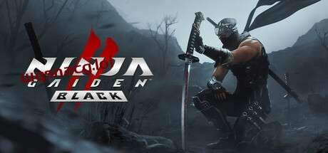 忍者龙剑传2：黑之章NINJA GAIDEN 2 Black v1.0.0官方中文免安装版游戏中文版下载|无需安装解压即玩_怀旧游戏网